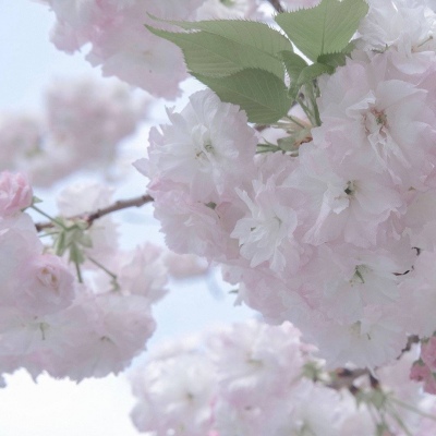 兽设复古风格设计兽圈社群